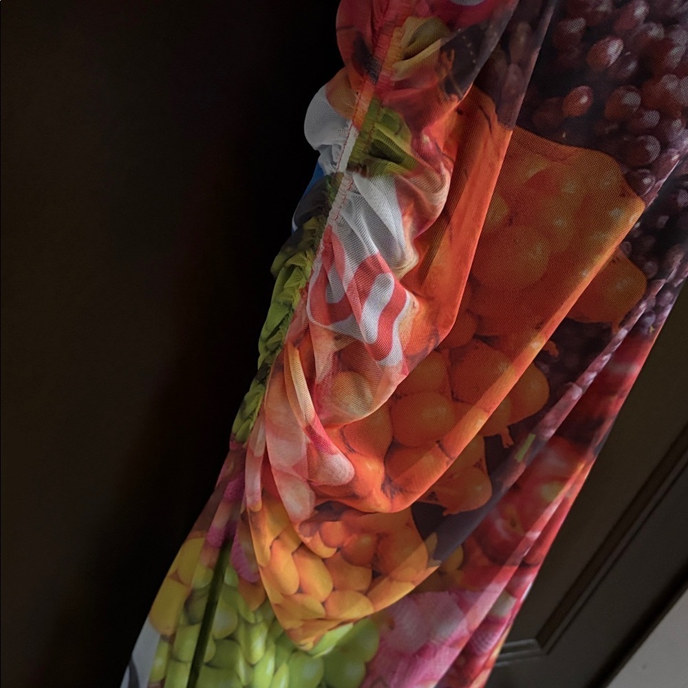 NWT Zara Fruit Stand Mesh Midi /Maxi Dress Size Small - Picture 11 of 12